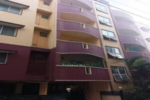 1 BHK Apartment For Rent in Bandra West
