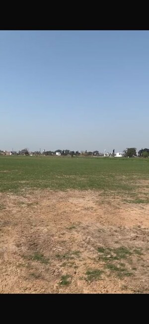 Plot Area in  Plot at Kurali – for Sale