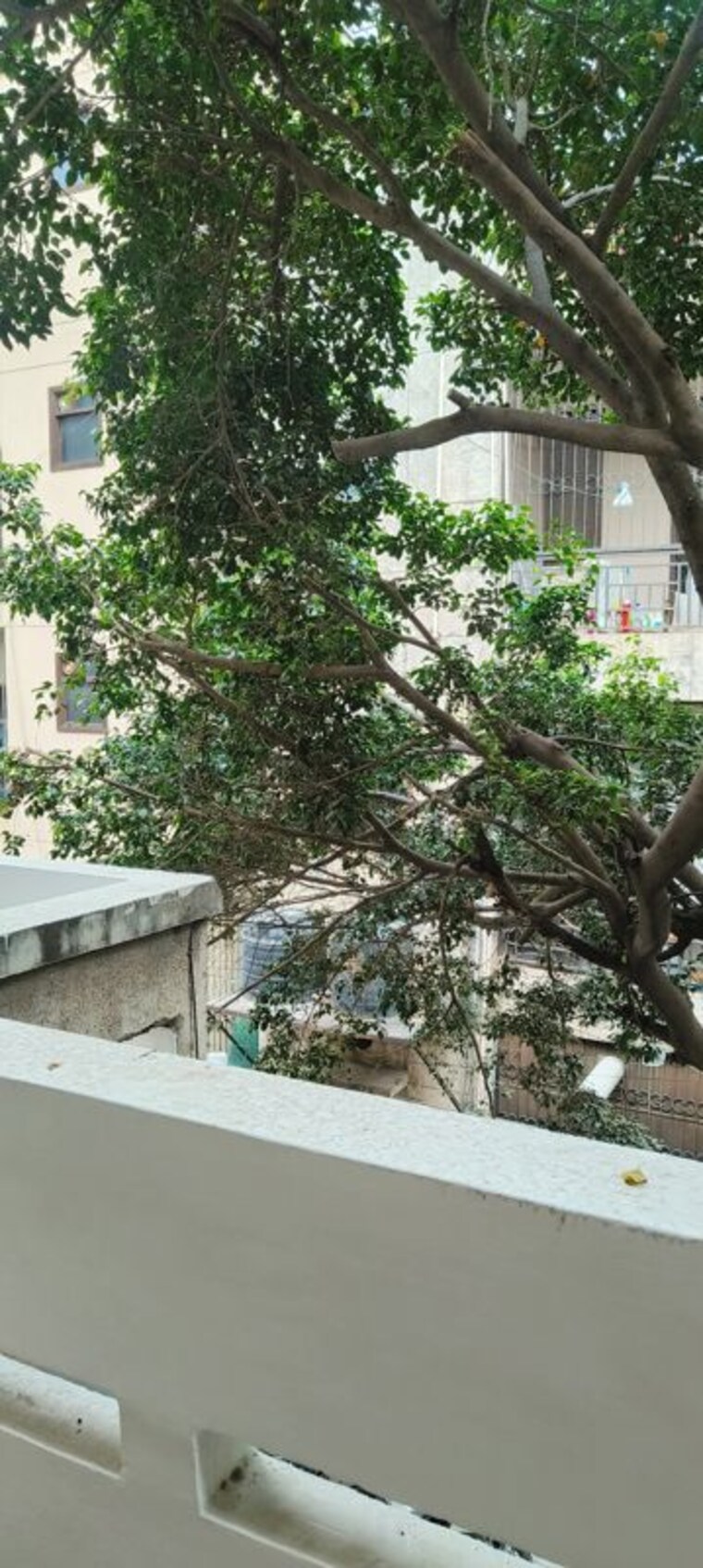 Exterior View, kalkaji 3 Bedroom 2150 Sq.Ft. Builder Floor In Kalkaji Delhi 10158212