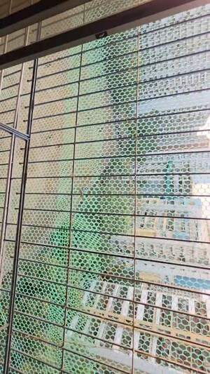 2 BHK Apartment – Exterior View View at Atharva Shweta CHS, Chembur - for Rent