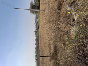 Plot Area in  Plot at New Moradabad – for Sale