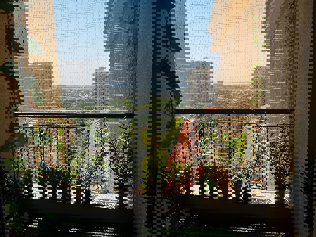 3 BHK + Pooja Room 1600 Sq.Ft. Apartment in Sobha City Mykonos