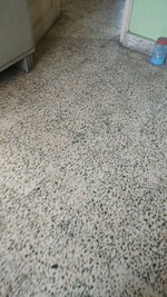 2 BHK 700 Sq.Ft. Apartment in Kurla East