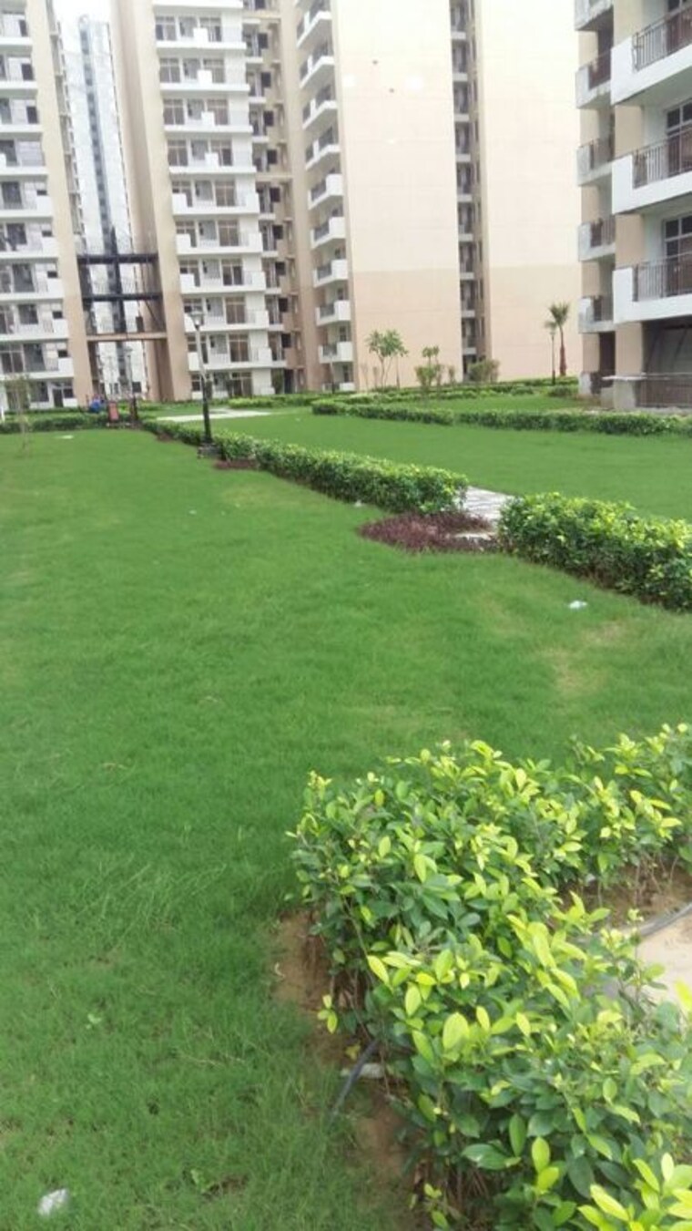 Garden, gaur-city-2-14th-avenue 3 Bedroom 1300 Sq.Ft. Apartment In Sector 16c Greater Noida Greater Noida 10160494