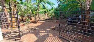  Plot For Sale in Cheroor