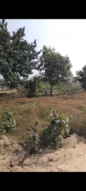Plot Area in  Plot at Model Town – for Sale