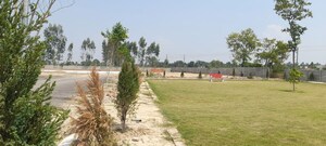 Plot Area in  Plot at Sector 89 – for Sale