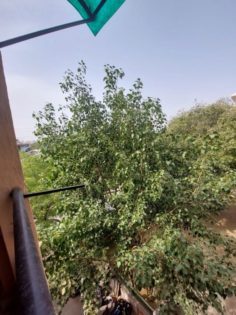Garden, sarita vihar 1 Bedroom 400 Sq.Ft. Apartment In Sarita Vihar Delhi 10163009