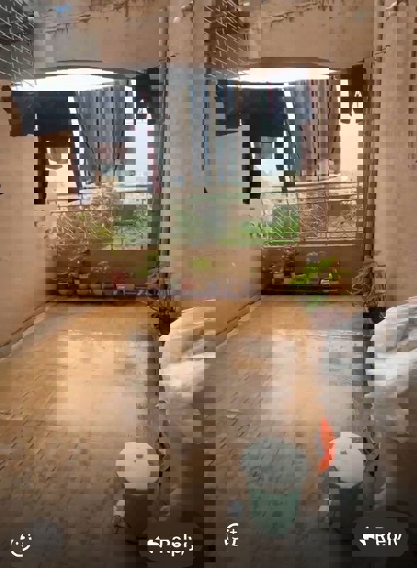 2 BHK 815 Sq.Ft. Apartment in GK Rose Icon