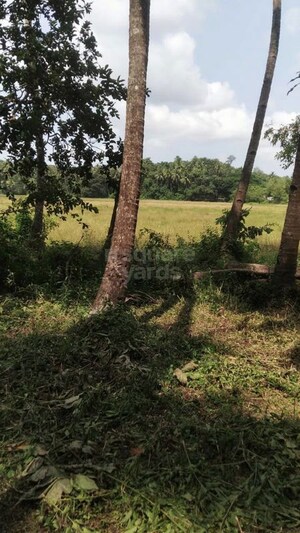 Plot Area in  Plot at Loutolim – for Sale