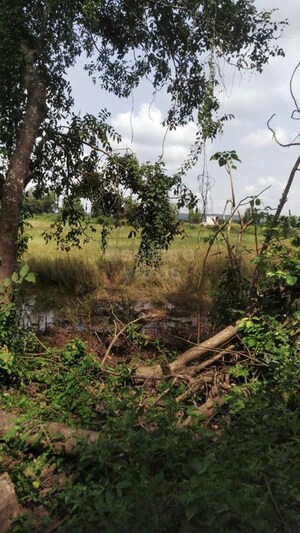  Plot For Sale in Loutolim