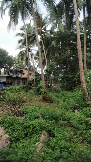  Plot For Sale in Loutolim