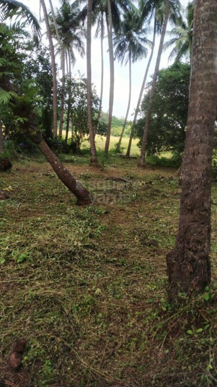 Garden, loutolim  1044 Sq.Mt. Plot In Loutolim Goa 10163223
