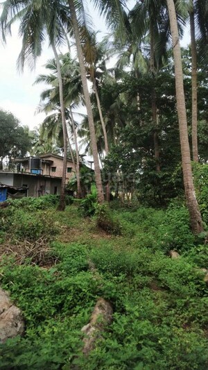  Plot For Sale in Loutolim