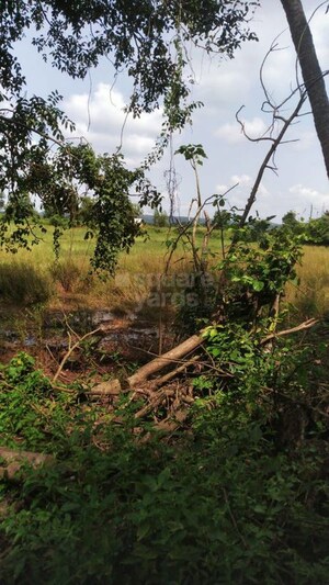  Plot For Sale in Loutolim