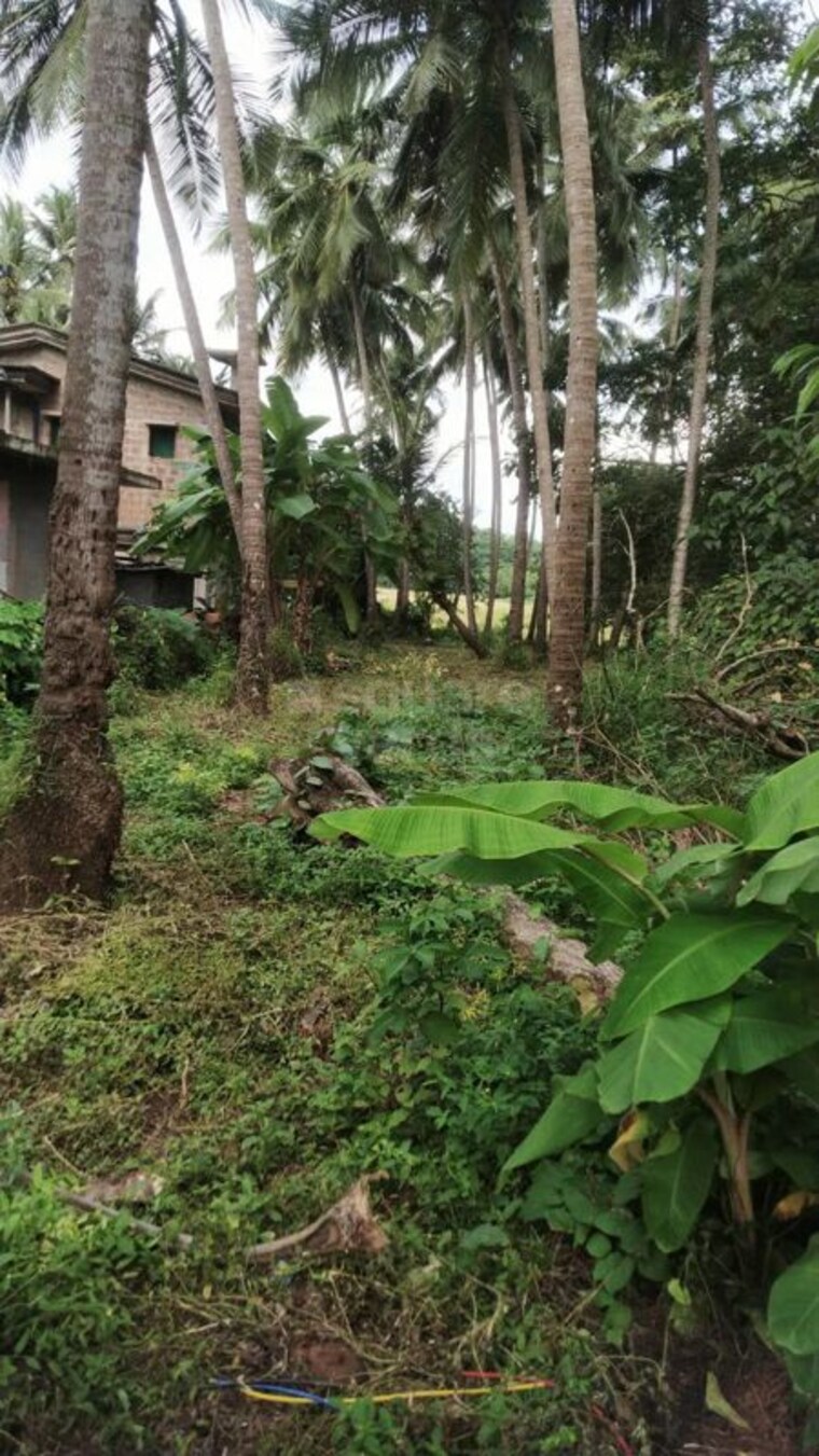 Garden, loutolim  1056 Sq.Mt. Plot In Loutolim Goa 10163235