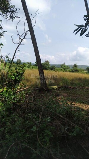 Plot Area in  Plot at Loutolim – for Sale