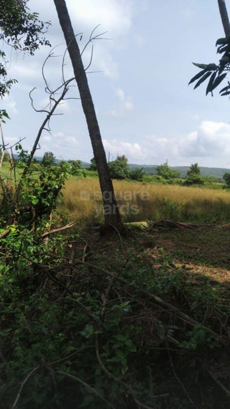 undefined, loutolim  1059 Sq.Mt. Plot In Loutolim Goa 10163238