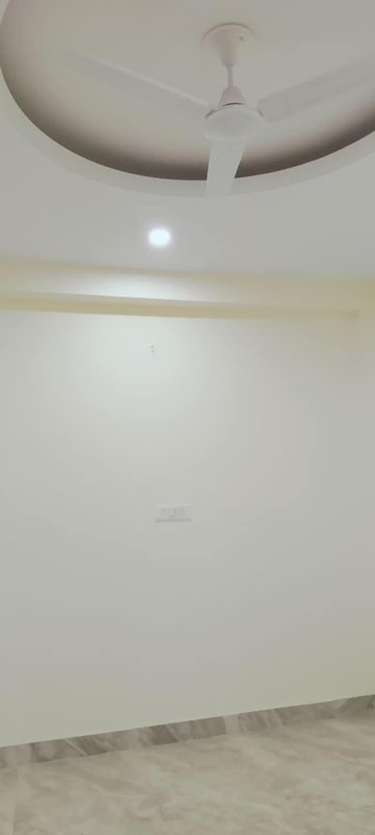 Room, sai-homes-sector-49 2 Bedroom 870 Sq.Ft. Builder Floor In Sector 49 Noida 10163579