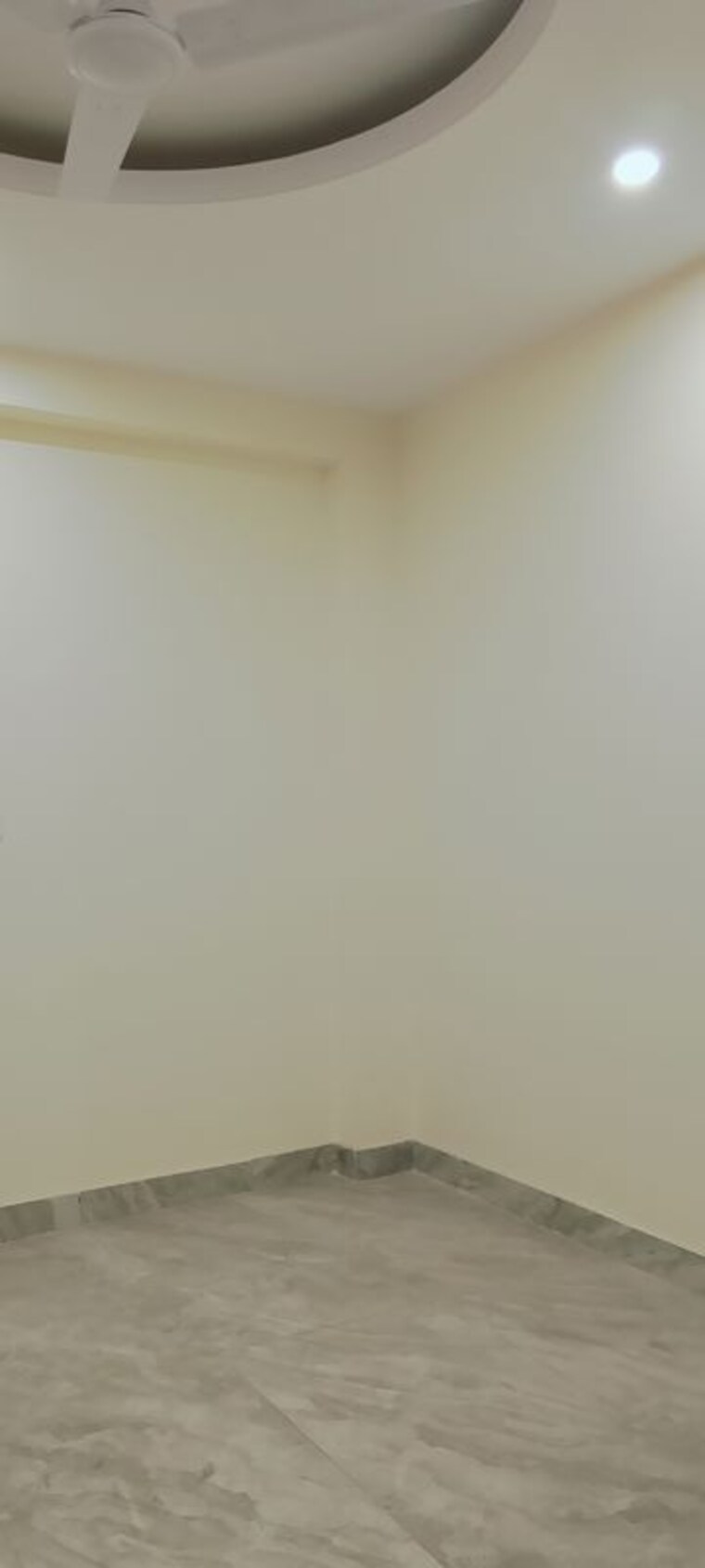 Room, sai-homes-sector-49 2 Bedroom 870 Sq.Ft. Builder Floor In Sector 49 Noida 10163579