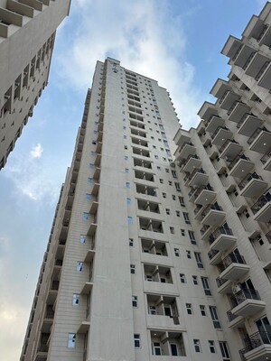3 BHK Apartment For Rent in Krisumi Waterfall Residences, Sector 36a