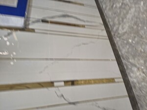 1 BHK Apartment For Rent in Kurla East