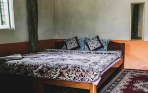  Pg For Rent in Gomti Nagar
