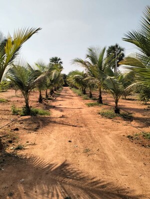 Plot Area in  Plot at Shabad – for Sale