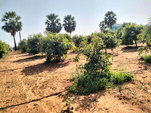 Plot Area in  Plot at Shabad – for Sale