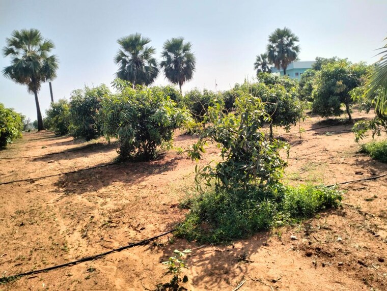 undefined, shabad  150 Sq.Yd. Plot In Shabad Hyderabad 10164045