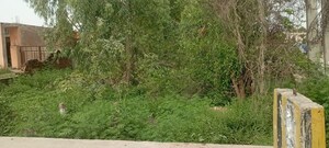  Land – Garden View at LudhianA-Chandigarh Hwy - for Sale
