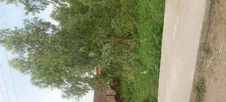 Garden, ludhiana chandigarh hwy Commercial Land 800 Sq.Yd. In LudhianA Chandigarh Hwy Mohali 10164144