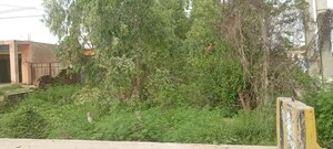  Land – Garden View at LudhianA-Chandigarh Hwy - for Sale