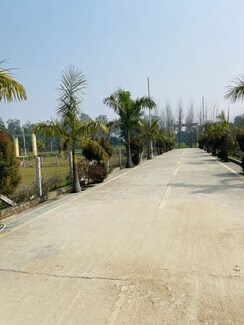 Plot For Sale in Biharigarh