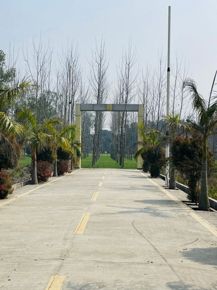 Exterior View, biharigarh  158 Sq.Yd. Plot In Biharigarh Dehradun 10164257