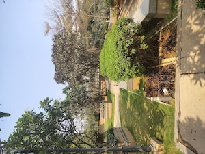 2 BHK Apartment For Rent in My Home Avatar, Gachibowli