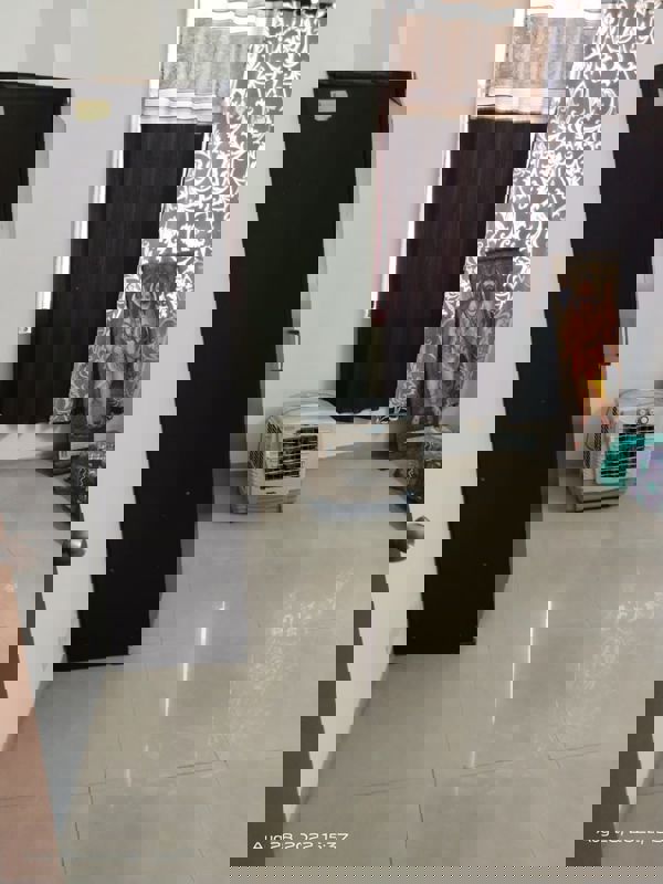 3 BHK + Pooja Room 1520 Sq.Ft. Apartment in Mahagun Mywoods II