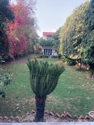 2.5 BHK Independent House – Garden View at Sainik Farm - for Rent