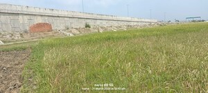 Plot Area in  Plot at Chandauli – for Sale