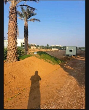  Plot For Sale in Pyramid Palm County, Sector 78