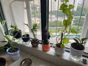 Living Room in 2 BHK Apartment at Rustomjee Urbania Athena, Majiwada – for Rent