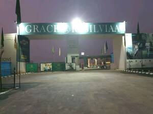 3 BHK Builder Floor For Sale in Grace Resilviaa, Sector 78