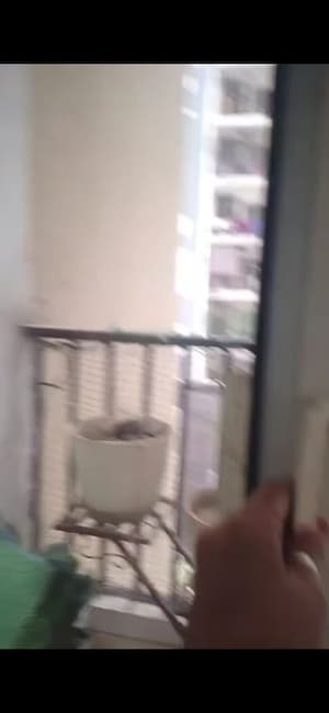 Bathroom in 2 BHK Apartment at Panchsheel Greens, Sector 16 Greater Noida – for Rent