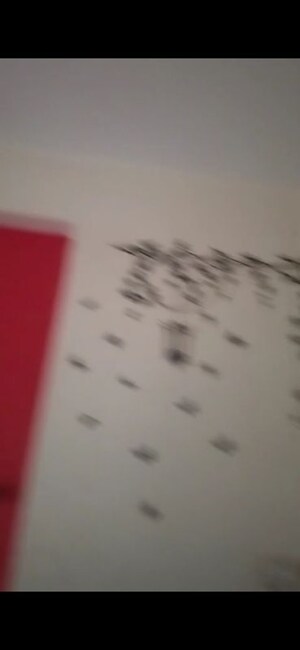 Bathroom in 2 BHK Apartment at Panchsheel Greens, Sector 16 Greater Noida – for Rent