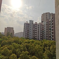 1 BHK Apartment For Rent in Nanded