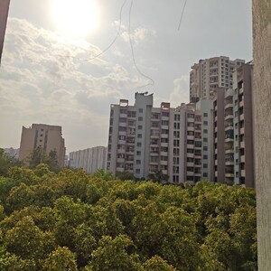 1 BHK Apartment For Rent in Nanded