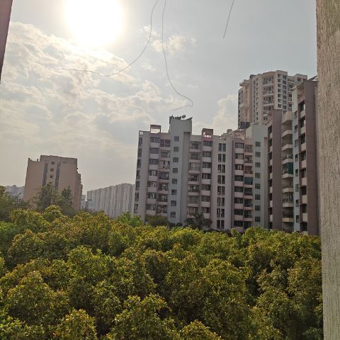 1 BHK Apartment For Rent in Nanded