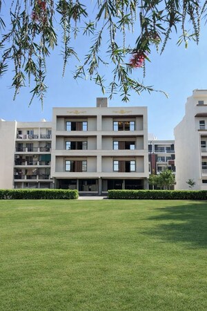 3 BHK Builder Floor For Sale in Sector 84