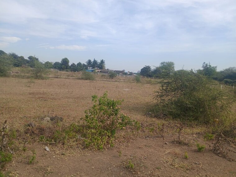 undefined, vijay nagar  100 Sq.Yd. Plot In Vijay Nagar Nashik 10165741