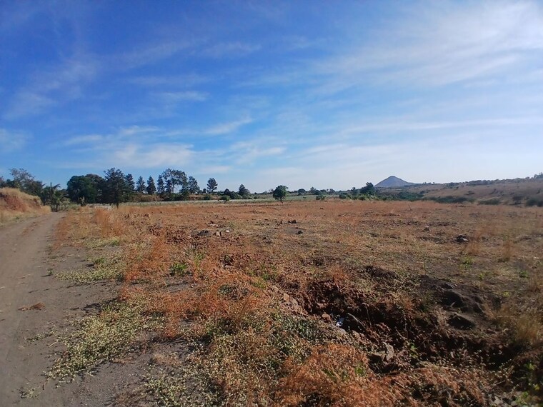 undefined, makhmalabad  116 Sq.Yd. Plot In Makhmalabad Nashik 10165787